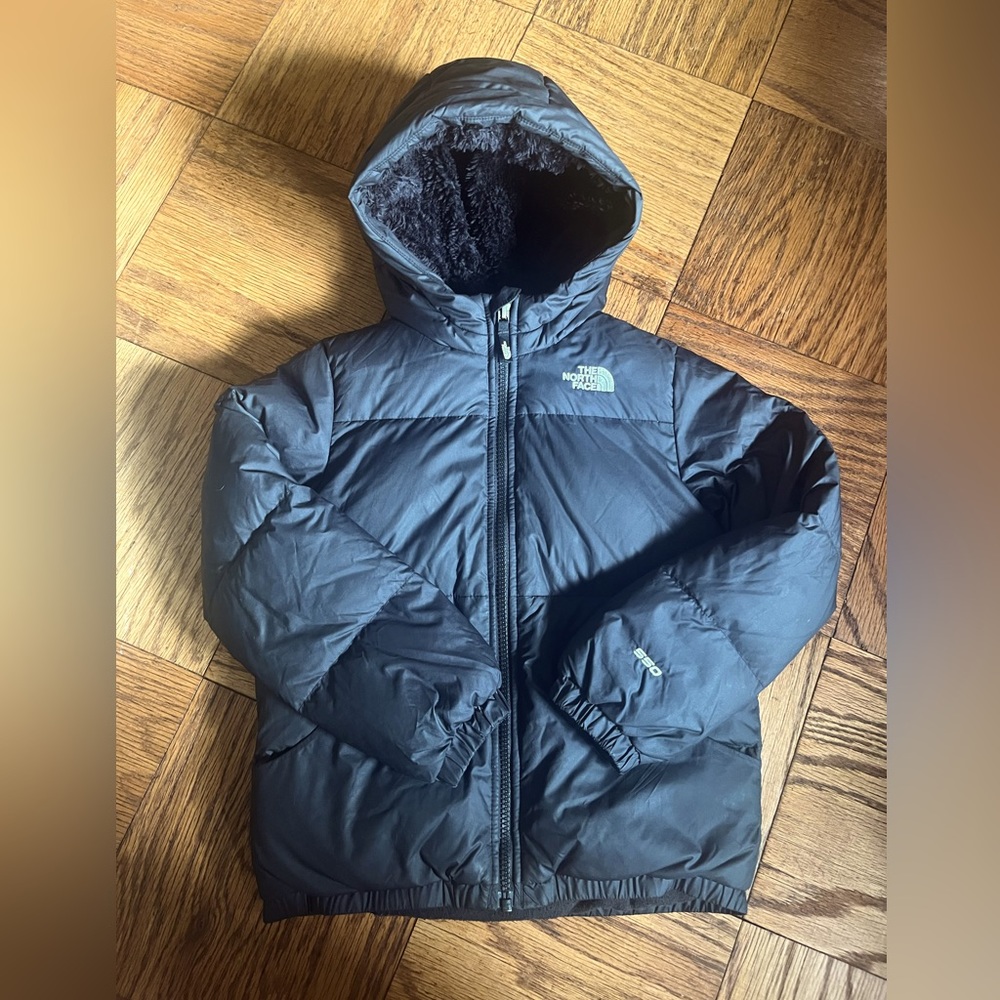 North Face Moondoggy down puffer hoodie